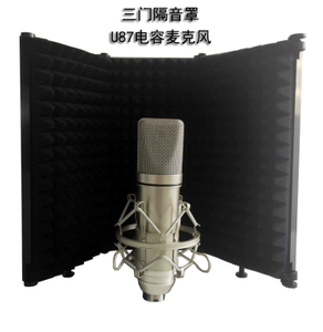 Профессиональный конденсаторный микрофон для студии Grabacion de Estudio