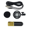 LAIKESI BM-800 BM-100 BM-700 BM-900 однонаправленный конденсаторный микрофон для живых выступлений
